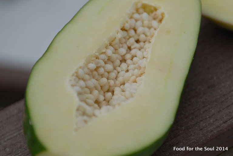 Papaya