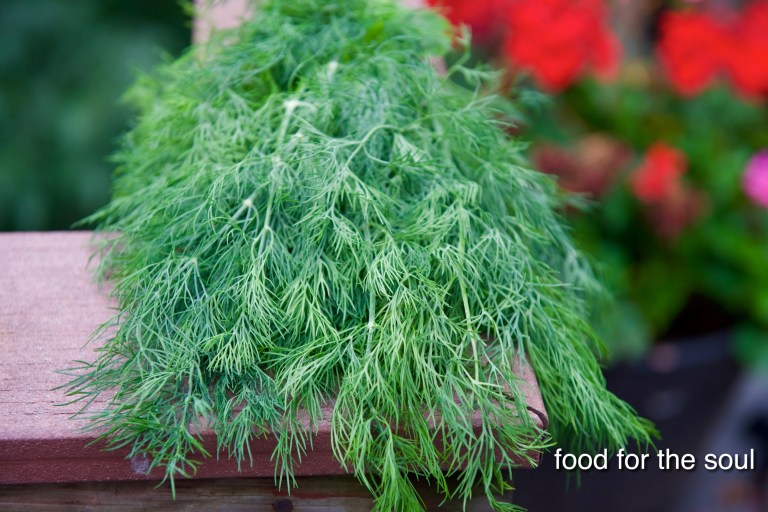 Fresh Dill