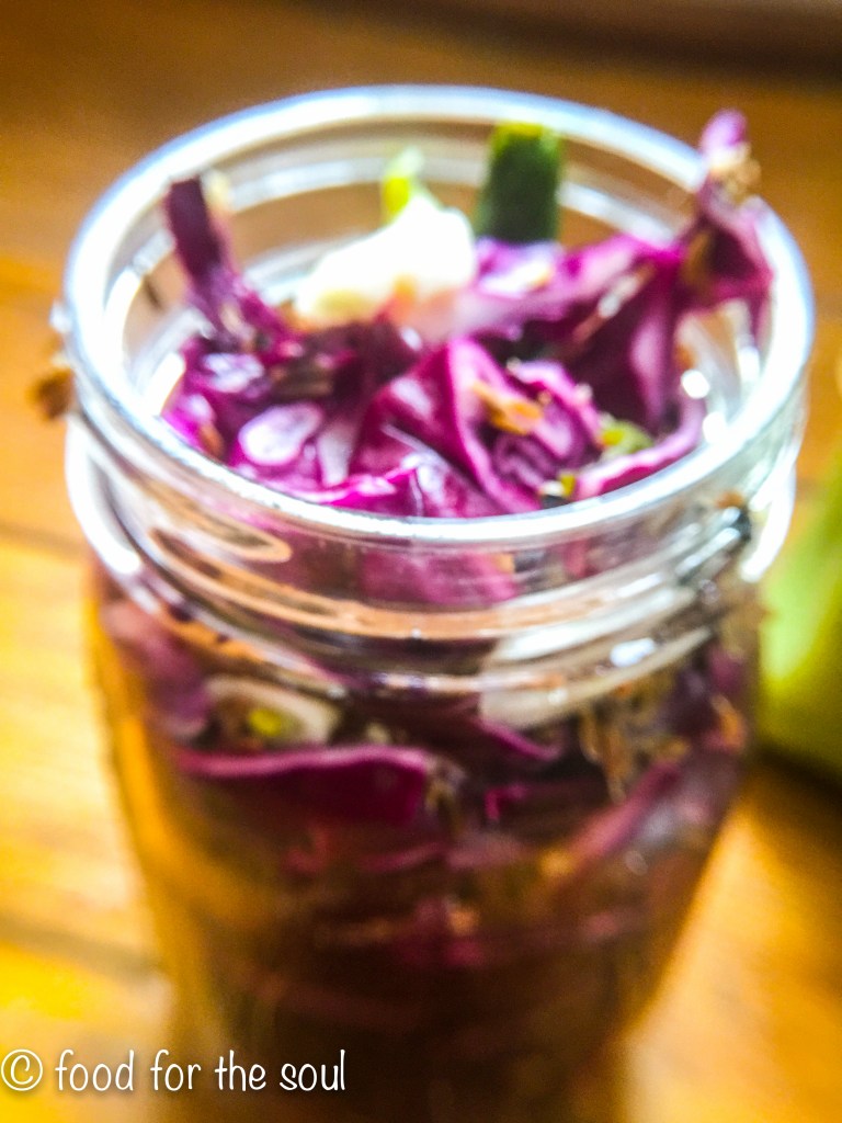 RedCabbagePickle-5518