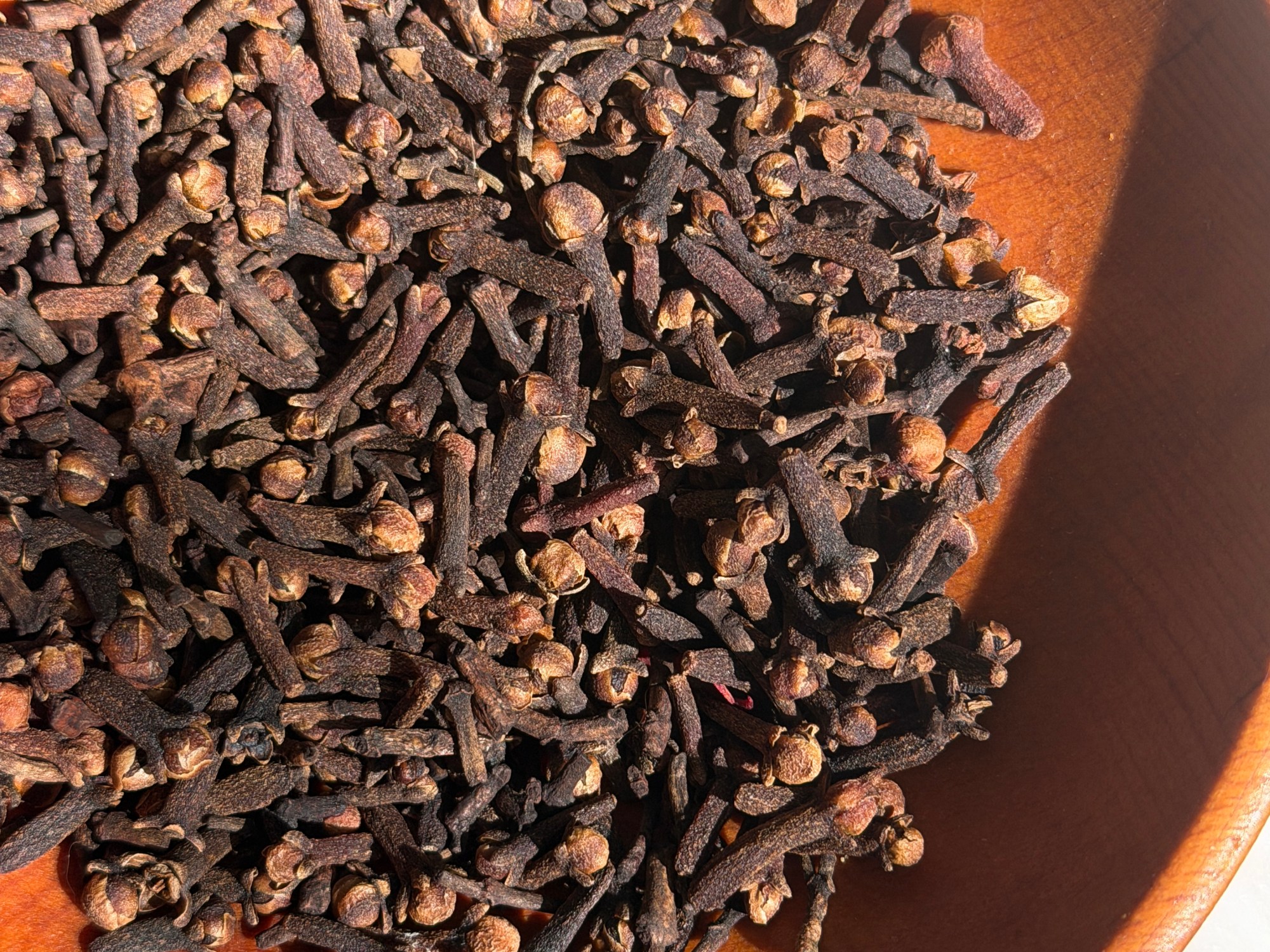Cloves - used globally as a pungent spice in cooking and a potent ingredient in traditional medicine. Rich in antioxidants and eugenol, they are known for potential health benefits such as promoting liver health and reducing inflammation